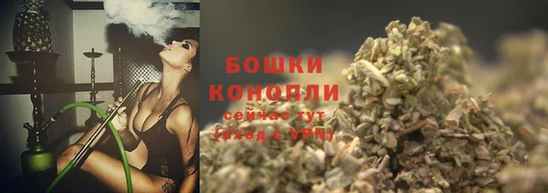 крисы Арсеньев