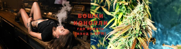 крисы Арсеньев
